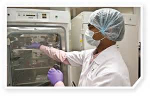 新药研发简介：新瓶装旧酒，浅谈肿瘤动物模型的变迁