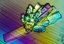 PD-1抑制剂成“抗癌神器”，国内外企业进展如何？