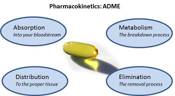 毒代动力学的吸收、分布、代谢、排泄