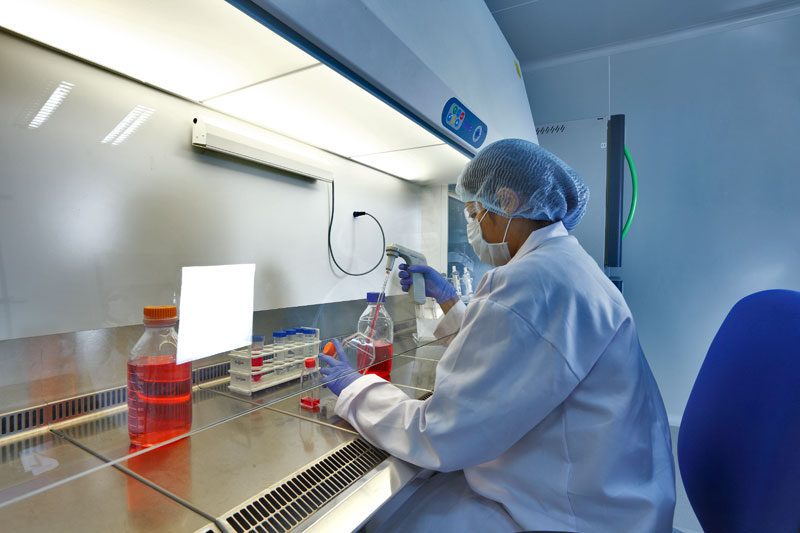 2015年度中国药品批准盘点：化药不批准率超20%，中药上市数量翻3倍