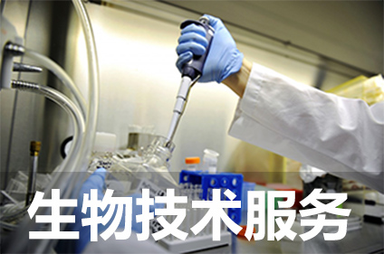 生物不朽情缘mg官网