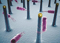 未来的药丸里，可能有一万亿个人工改造的细菌？