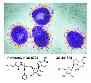 基于细胞因子风暴和免疫炎症反应综合征，很多免疫相关靶点也可以列为冠状病毒的靶点。