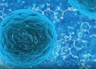 攻克三阴性乳腺癌，蜜蜂毒液竟是关键？