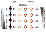 究竟为什么ICB疗法在年轻女性肿瘤患者体内收效甚微？
