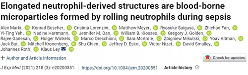 一种神秘颗粒被发现了 ！它能否成为败血症早筛标志物？