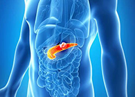 Science：“癌王”胰腺癌终于出现了治疗新曙光