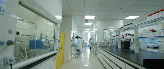 不朽情缘mg官网药物发现