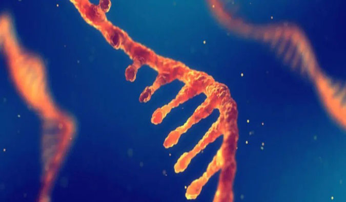 赋能核酸药物疗法，迎接新药研发第三次浪潮