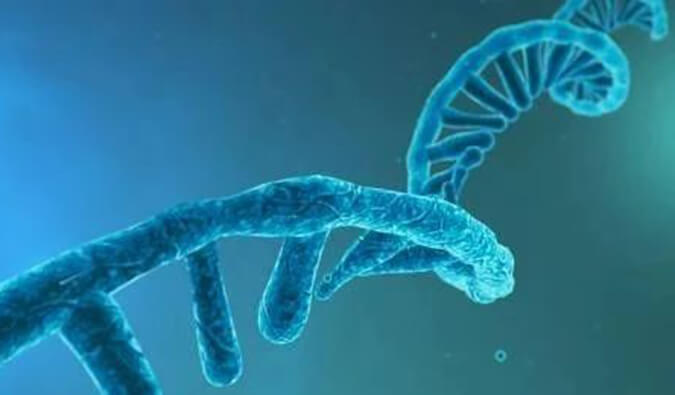 美研丨寡核苷酸药物市场前景、发展挑战及应对策略