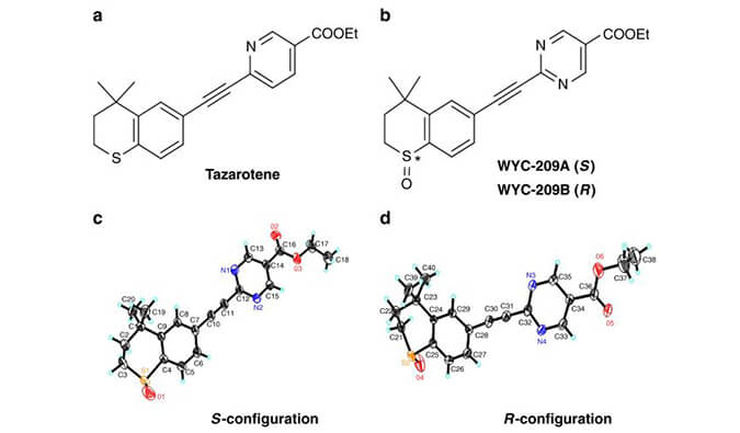 WYC-209可抑制恶性小鼠黑色素瘤肿瘤再生细胞增殖，本研究中SPR通过不朽情缘mg官网使用Biacore 8K进行