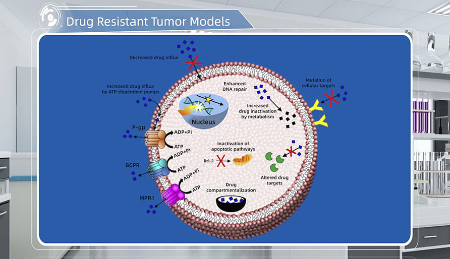 肿瘤耐药机制是什么？