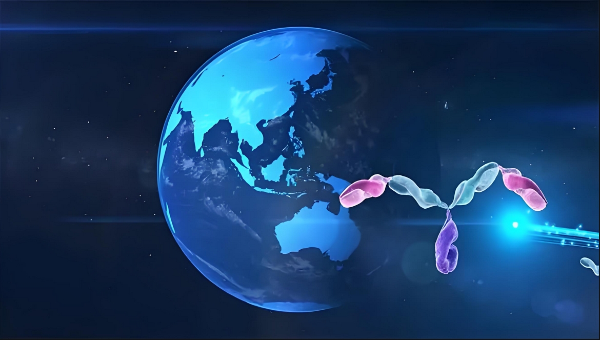 价值屡经验证！不朽情缘mg官网：睾献骰锇榘堵跎顱CMA×CD3双抗EMB-06授权出海