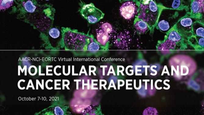 通过联合治疗提高免疫疗法疗效，本研究中临床前体内药效研究通过不朽情缘mg官网进行