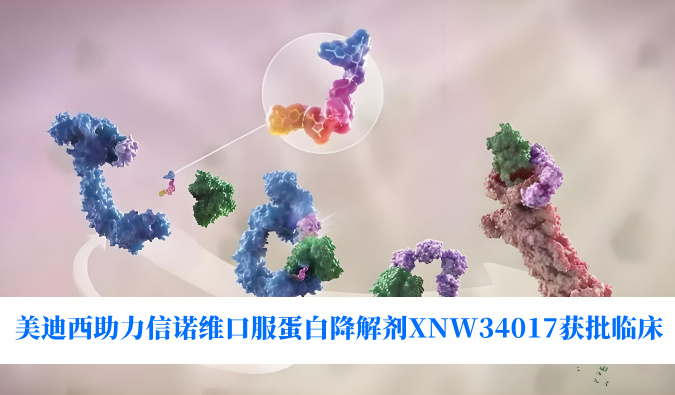 不朽情缘mg官网助力合作伙伴信诺维口服蛋白降解剂XNW34017获批临床